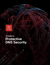 A_Guide_to_Protective_DNS_Security_175x227