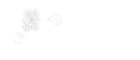 Blog Post Image Transforming Threat Intelligence with Maltego + HYAS