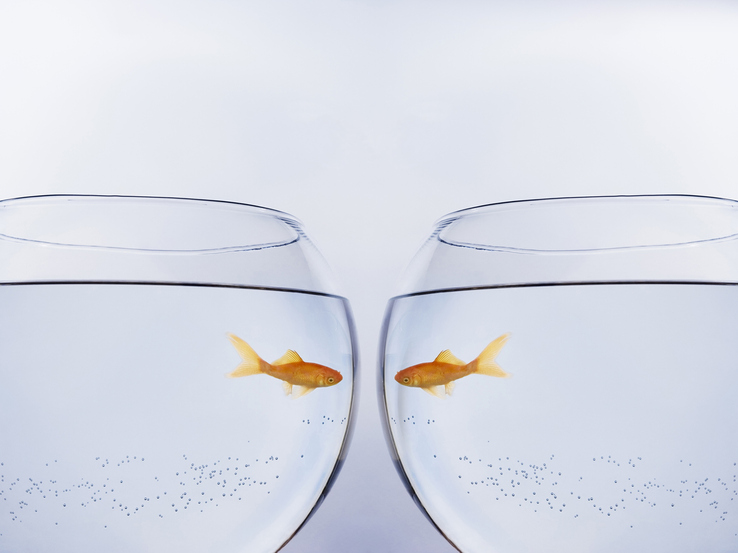 The Differences Between DNS Protection and Protective DNS